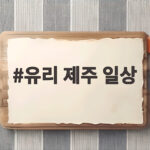 유리 제주 일상 일출 요가와 빵지순례 20년 내공 반전 유리 제주 일상
