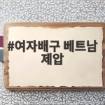 여자배구 베트남 제압