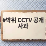박위 CCTV 공개 사과 논란, 장애인들의 쓴소리까지 이어졌다 박위 CCTV 공개 사과