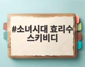소녀시대 효리수 스키비디