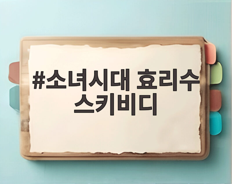 소녀시대 효리수 스키비디