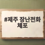 제주 장난전화 체포 실종자 가족을 울린 10대의 만행 제주 장난전화 체포