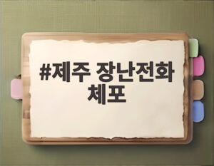 제주 장난전화 체포