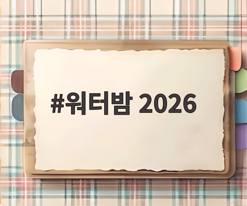 워터밤 2026 속초 공연 관람 정보와 안전 수칙 알아보기 1 워터밤 2026
