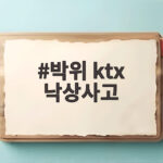 박위 ktx 낙상사고, CCTV 공개 논란과 장애인 이동 안전 문제 박위 ktx 낙상사고