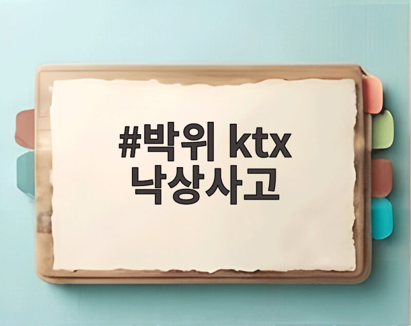 박위 ktx 낙상사고, CCTV 공개 논란과 장애인 이동 안전 문제 1 박위 ktx 낙상사고