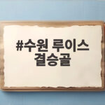 수원 루이스 결승골