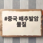 중국 배추 발암물질 파문, 포름알데히드 검사 강화 내용은 중국 배추발암 물질