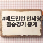 배드민턴 안세영 결승경기 중계, 세계선수권 4강 진출 대기록과 관전 포인트 배드민턴 안세영 결승경기 중계