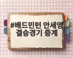 배드민턴 안세영 결승경기 중계