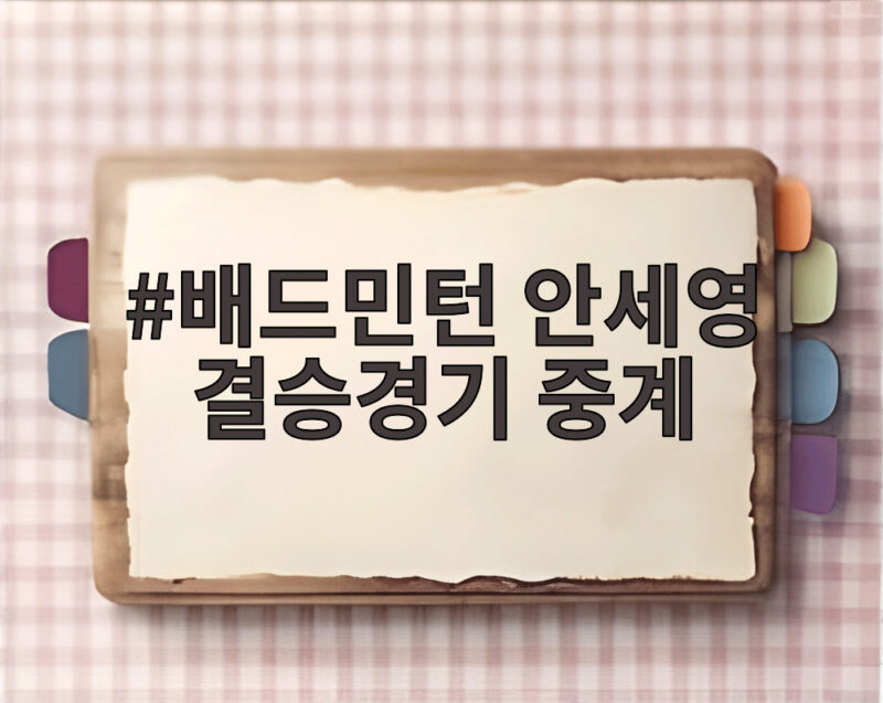 배드민턴 안세영 결승경기 중계