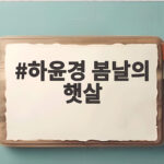 하윤경 봄날의 햇살 매력 전참시에서 드러난 진짜 성격 하윤경 봄날의 햇살