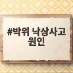 박위 낙상사고 원인 공개된 CCTV와 사과문으로 살펴보는 논란의 전말 박위 낙상사고 원인
