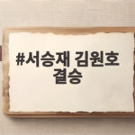 서승재 김원호 결승 도전했지만 아쉬운 동메달, 세계선수권 준결승 패배 서승재 김원호 결승