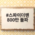 스파이더맨 800만 돌파 개봉 26일 만에 시리즈 최고 흥행 스파이더맨 800만 돌파