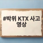 박위 KTX 사고 영상 논란, 왜 삭제하고 사과했는가 박위 KTX 사고 영상