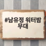 남유정 워터밤 무대