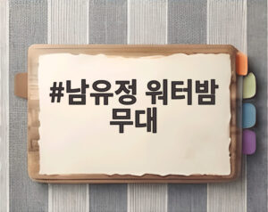 남유정 워터밤 무대