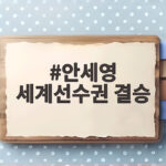 안세영 세계선수권 결승