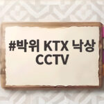 박위 KTX 낙상 CCTV