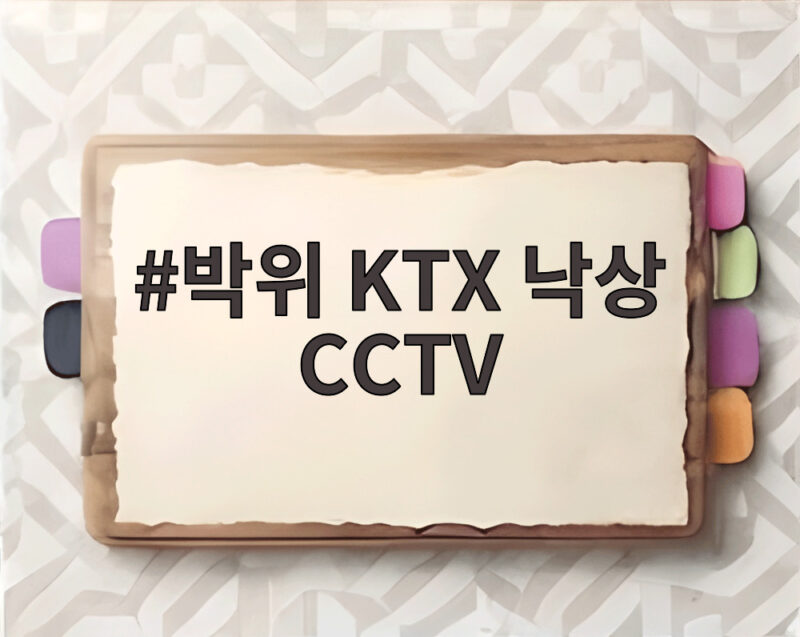 박위 KTX 낙상 CCTV 영상 공개 논란 왜 문제였을까 1 박위 KTX 낙상 CCTV