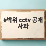 박위 cctv 공개 사과 진정성 의문 드는 이유 박위 cctv 공개 사과