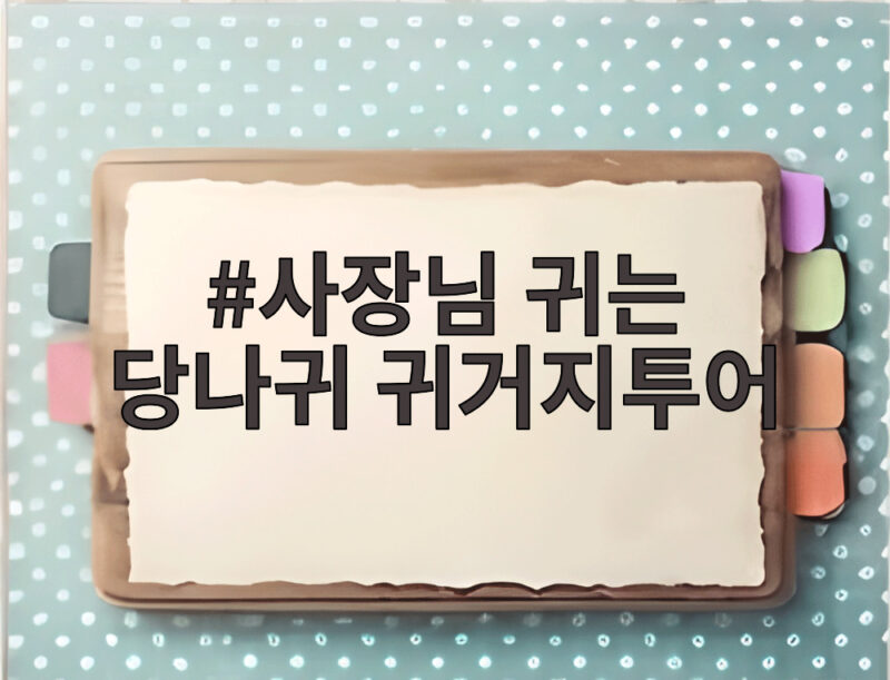 사장님 귀는 당나귀 귀거지투어