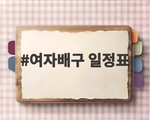 여자배구 일정표