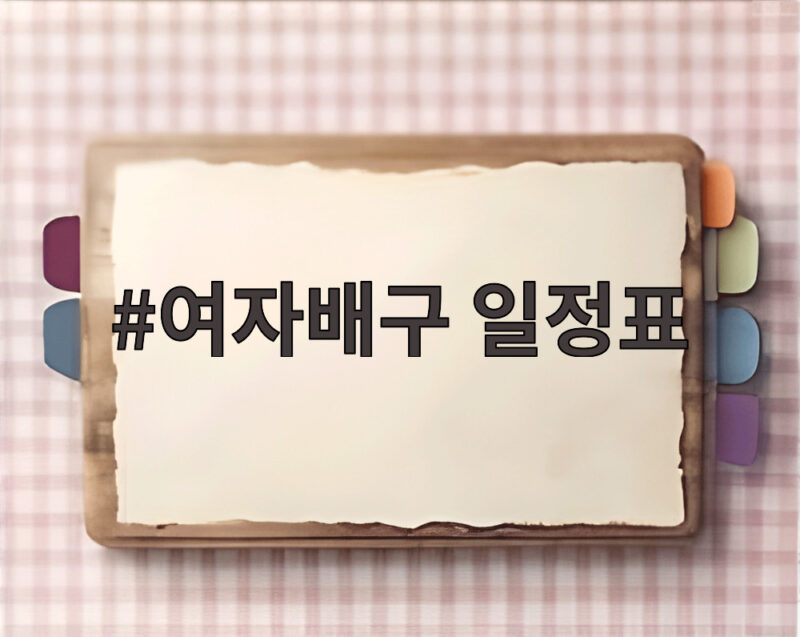 여자배구 일정표