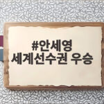 안세영 세계선수권 우승
