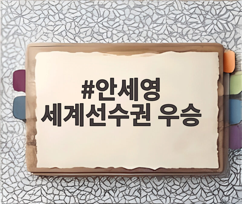 안세영 세계선수권 우승 부상 복귀전에서 3년 만의 정상 탈환 1 안세영 세계선수권 우승