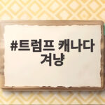 트럼프 캐나다 겨냥 관세전쟁, 카니의 강경 대응과 협상의 실체 트럼프 캐나다 겨냥
