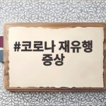 코로나 재유행 증상, 중국 52만 명 확진과 국내 검출률 급증 현황 코로나 재유행 증상