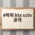 박위 KTX CCTV 공개 논란, 구독자 100만 붕괴와 사과에도 계속되는 비판 박위 ktx cctv 공개