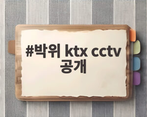 박위 ktx cctv 공개