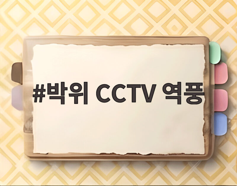 박위 CCTV 역풍