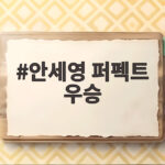 안세영 퍼펙트 우승