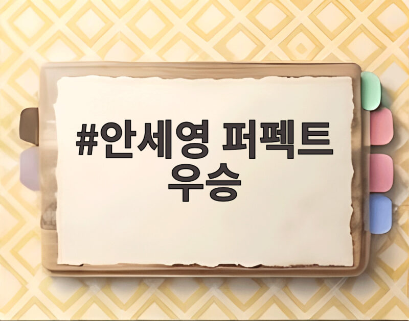 안세영 퍼펙트 우승