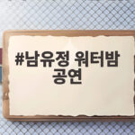 남유정 워터밤 공연 첫 무대는 성공 신곡 컴백까지 한번에 보기 남유정 워터밤 공연