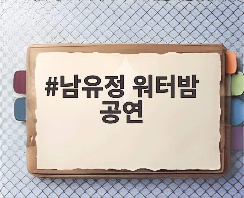 남유정 워터밤 공연
