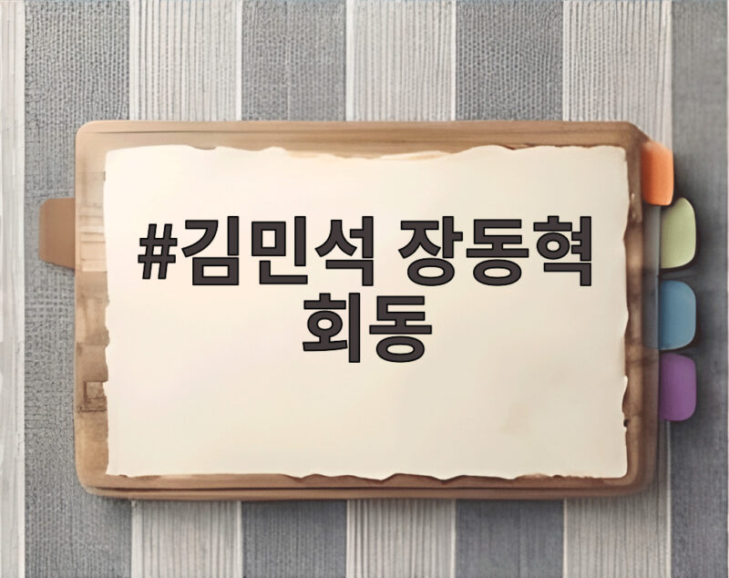 김민석 장동혁 회동