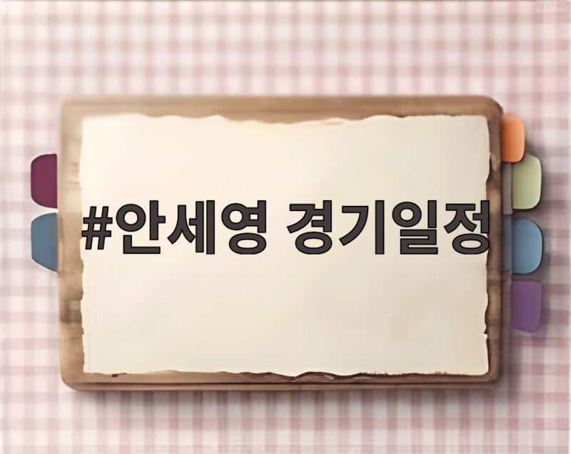 안세영 경기일정