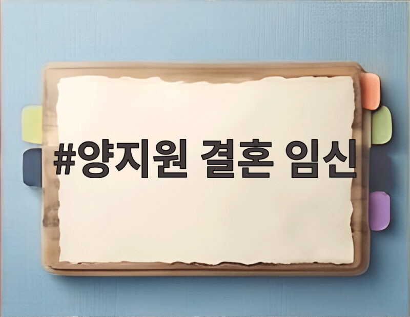 양지원 결혼 임신