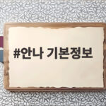 안나 기본정보