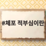 체포 적부심이란