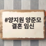 양지원 양준모 결혼 임신 동시 발표 그리고 양준모 이혼 고백 양지원 양준모 결혼 임신
