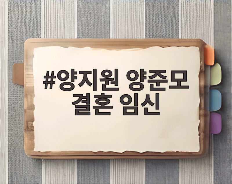 양지원 양준모 결혼 임신 동시 발표 그리고 양준모 이혼 고백 1 양지원 양준모 결혼 임신