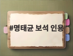 명태균 보석 인용