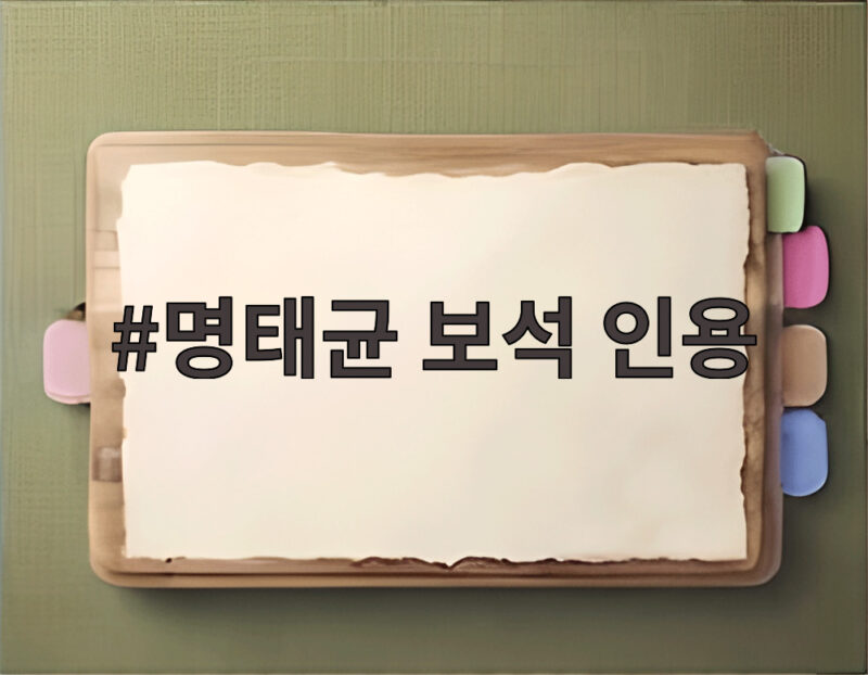 명태균 보석 인용, 불구속 재판의 의미와 향후 일정을 알아볼까요 1 명태균 보석 인용