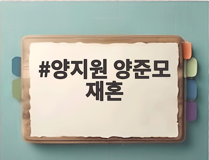양지원 양준모 재혼
